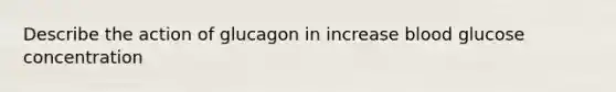 Describe the action of glucagon in increase blood glucose concentration