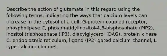 Describe the action of glutamate in this regard using the following terms, indicating the ways that calcium levels can increase in the cytosol of a cell: G-protein coupled receptor, phospholipase C, phosphatidylinositol-4,5-bisphosphate (PIP2), inositol trisphosphate (IP3), diacylglycerol (DAG), protein kinase C, endoplasmic reticulum, ligand (IP3)-gated calcium channel, L-type calcium channel.