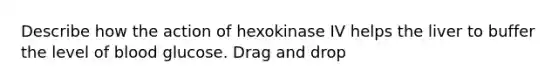 Describe how the action of hexokinase IV helps the liver to buffer the level of blood glucose. Drag and drop