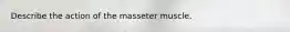 Describe the action of the masseter muscle.
