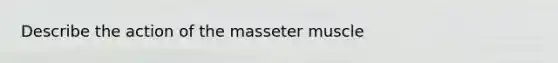 Describe the action of the masseter muscle