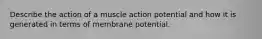 Describe the action of a muscle action potential and how it is generated in terms of membrane potential.