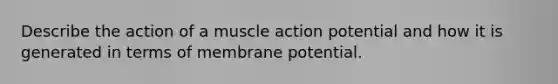 Describe the action of a muscle action potential and how it is generated in terms of membrane potential.