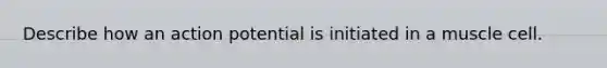 Describe how an action potential is initiated in a muscle cell.