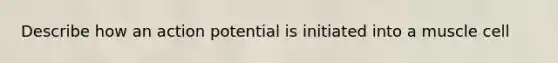 Describe how an action potential is initiated into a muscle cell