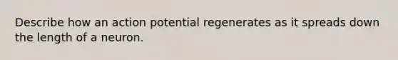 Describe how an action potential regenerates as it spreads down the length of a neuron.