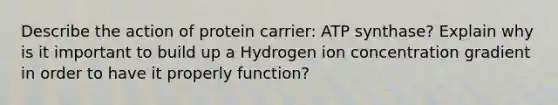 Describe the action of protein carrier: ATP synthase? Explain why is it important to build up a Hydrogen ion concentration gradient in order to have it properly function?