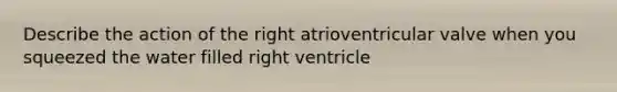 Describe the action of the right atrioventricular valve when you squeezed the water filled right ventricle