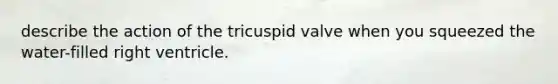 describe the action of the tricuspid valve when you squeezed the water-filled right ventricle.