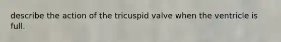 describe the action of the tricuspid valve when the ventricle is full.