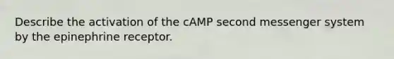 Describe the activation of the cAMP second messenger system by the epinephrine receptor.