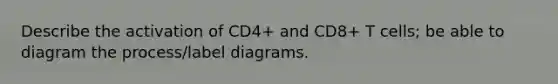 Describe the activation of CD4+ and CD8+ T cells; be able to diagram the process/label diagrams.