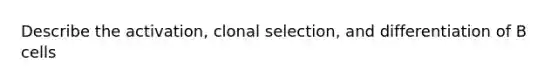 Describe the activation, clonal selection, and differentiation of B cells