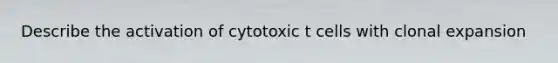 Describe the activation of cytotoxic t cells with clonal expansion