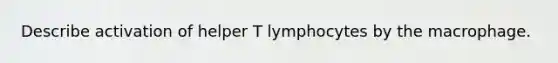 Describe activation of helper T lymphocytes by the macrophage.