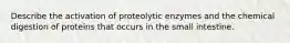 Describe the activation of proteolytic enzymes and the chemical digestion of proteins that occurs in the small intestine.