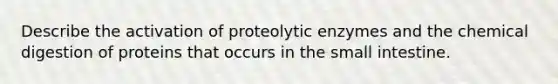 Describe the activation of proteolytic enzymes and the chemical digestion of proteins that occurs in the small intestine.