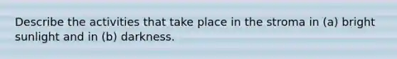 Describe the activities that take place in the stroma in (a) bright sunlight and in (b) darkness.