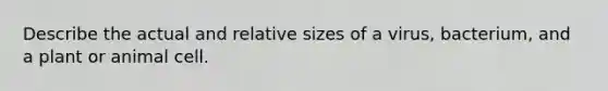 Describe the actual and relative sizes of a virus, bacterium, and a plant or animal cell.