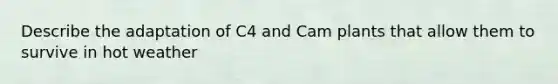 Describe the adaptation of C4 and Cam plants that allow them to survive in hot weather