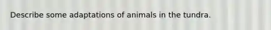 Describe some adaptations of animals in the tundra.