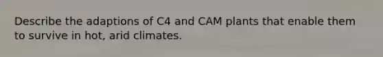 Describe the adaptions of C4 and CAM plants that enable them to survive in hot, arid climates.