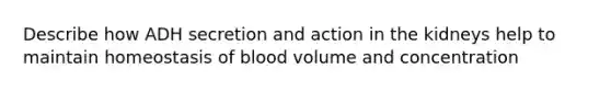 Describe how ADH secretion and action in the kidneys help to maintain homeostasis of blood volume and concentration