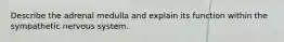 Describe the adrenal medulla and explain its function within the sympathetic nervous system.