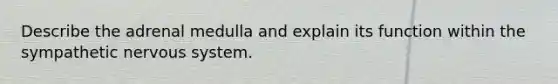 Describe the adrenal medulla and explain its function within the sympathetic nervous system.