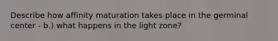 Describe how affinity maturation takes place in the germinal center - b.) what happens in the light zone?