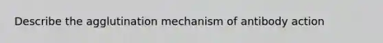 Describe the agglutination mechanism of antibody action