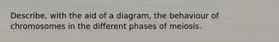 Describe, with the aid of a diagram, the behaviour of chromosomes in the different phases of meiosis.