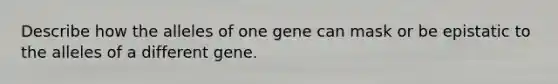 Describe how the alleles of one gene can mask or be epistatic to the alleles of a different gene.