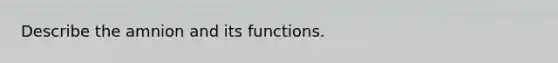 Describe the amnion and its functions.