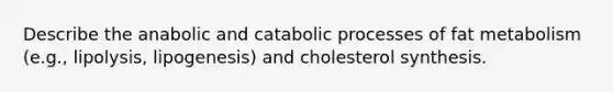 Describe the anabolic and catabolic processes of fat metabolism (e.g., lipolysis, lipogenesis) and cholesterol synthesis.