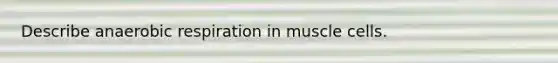 Describe anaerobic respiration in muscle cells.