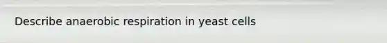 Describe anaerobic respiration in yeast cells