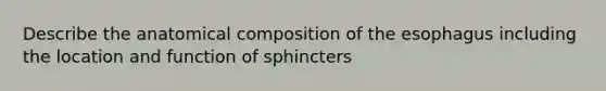 Describe the anatomical composition of the esophagus including the location and function of sphincters