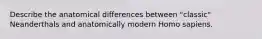 Describe the anatomical differences between "classic" Neanderthals and anatomically modern Homo sapiens.