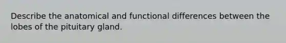 Describe the anatomical and functional differences between the lobes of the pituitary gland.