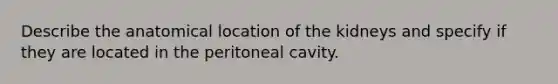 Describe the anatomical location of the kidneys and specify if they are located in the peritoneal cavity.