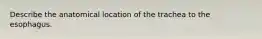 Describe the anatomical location of the trachea to the esophagus.