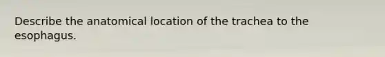 Describe the anatomical location of the trachea to the esophagus.