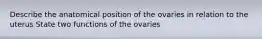 Describe the anatomical position of the ovaries in relation to the uterus State two functions of the ovaries