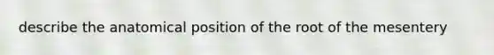 describe the anatomical position of the root of the mesentery