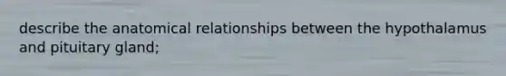 describe the anatomical relationships between the hypothalamus and pituitary gland;
