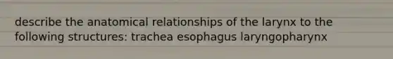 describe the anatomical relationships of the larynx to the following structures: trachea esophagus laryngopharynx