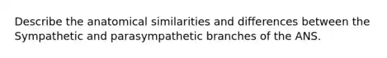 Describe the anatomical similarities and differences between the Sympathetic and parasympathetic branches of the ANS.