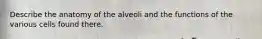 Describe the anatomy of the alveoli and the functions of the various cells found there.