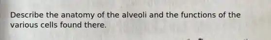 Describe the anatomy of the alveoli and the functions of the various cells found there.